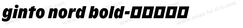 ginto nord bold字体转换